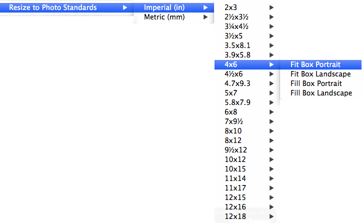 resize to standard menu