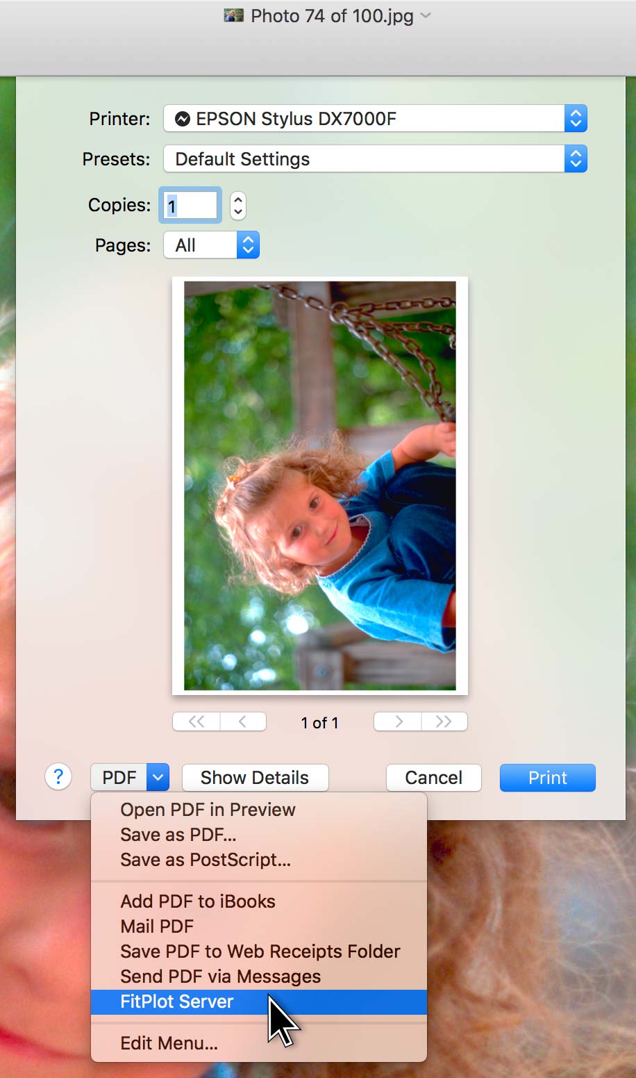 Print dialog with workflow options
