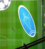 Logo on lawn distortion