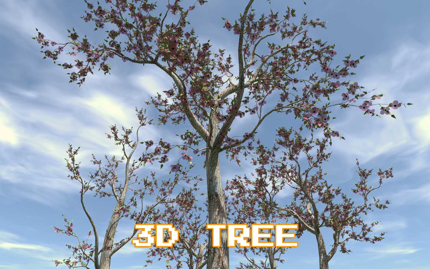 3D Tree